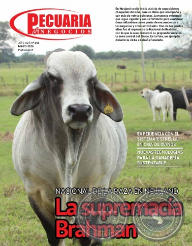 PECUARIA & NEGOCIOS - AÑO 12 NÚMERO 142 - REVISTA MAYO 2016 - PARAGUAY